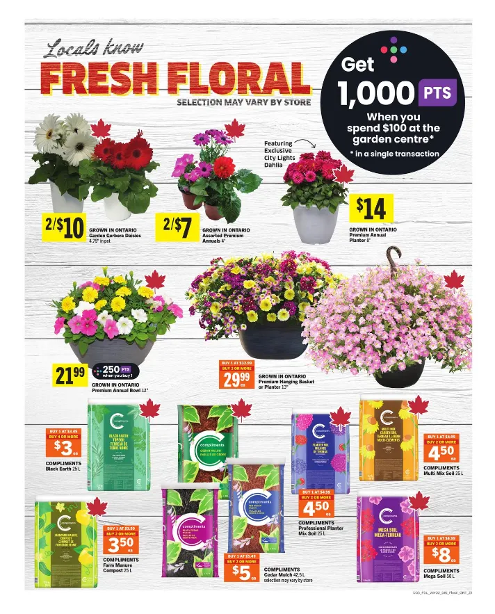 Foodland Sales from May 7 to May 13 2026 - flyer page 10