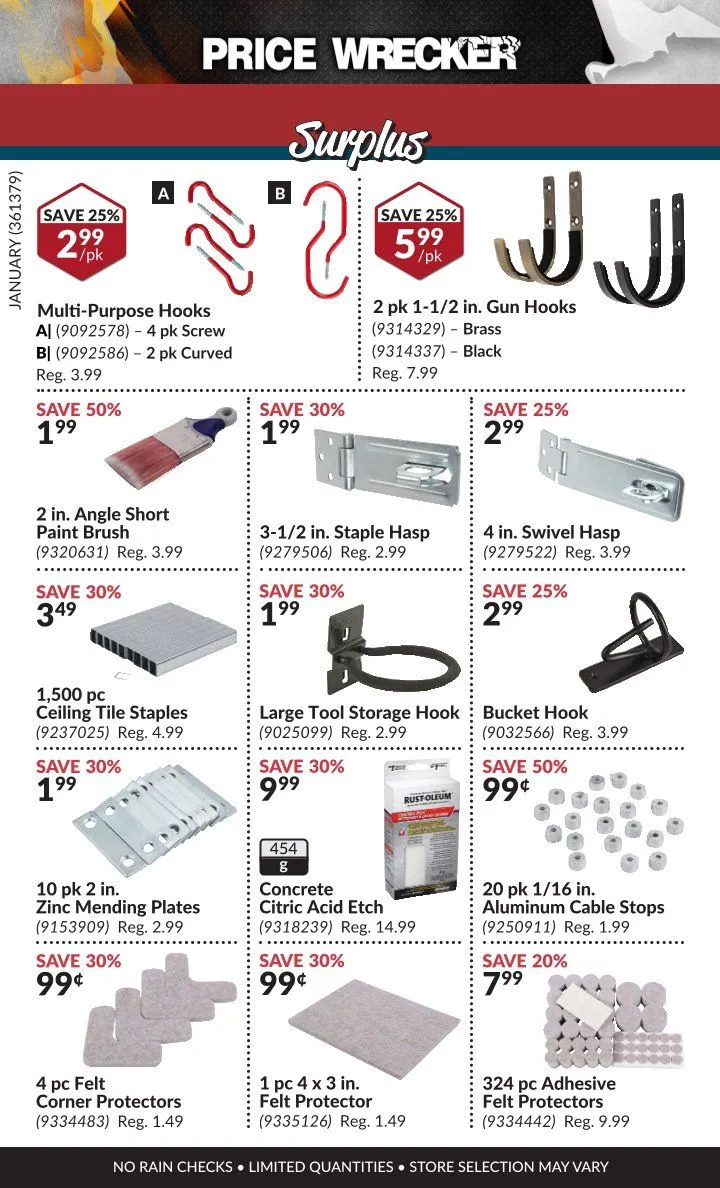 Princess Auto Sales from February 1 to January 31 2025 - flyer page 10