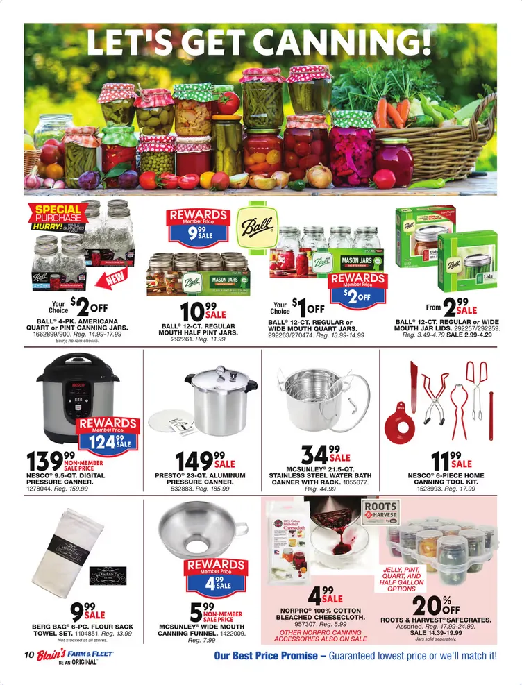 Weekly ad Blain's Farm & Fleet Sales from June 4 to June 14 2026 - Page 10