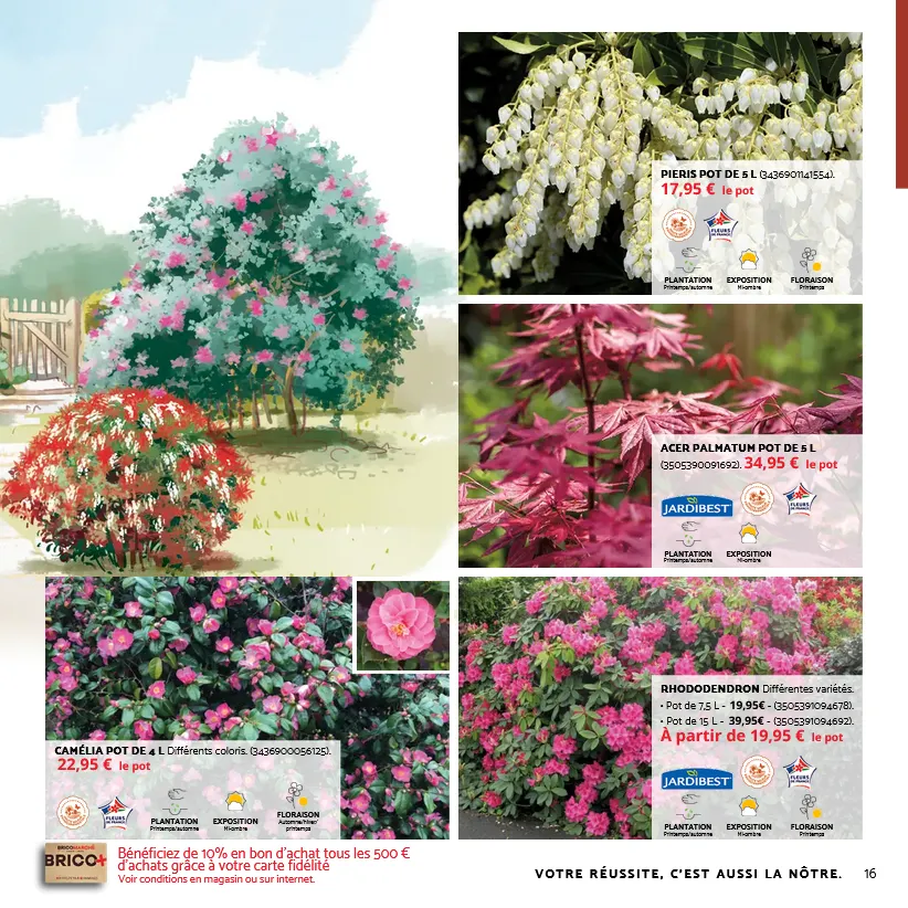 Catalogues Tridôme du 31 octobre au 29 novembre 2025 - Catalogue page 10