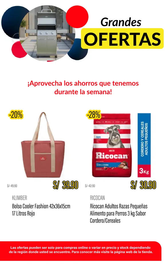 Catalogo de Maestro Ofertas 30 de abril al 14 de mayo 2026 - Pag 10