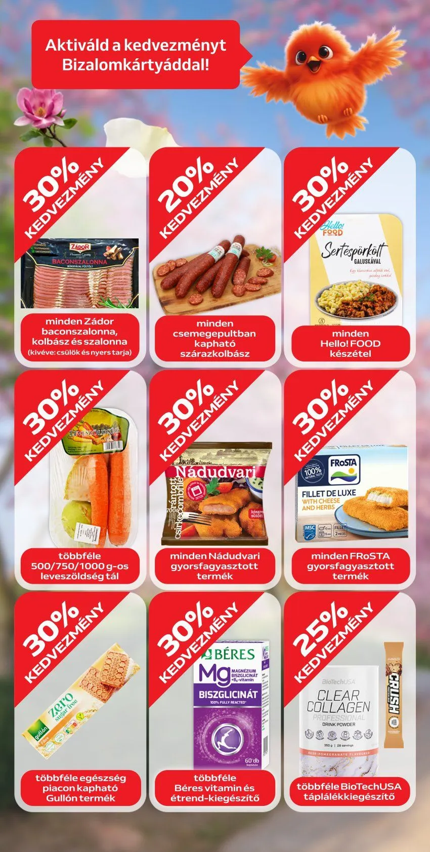 Katalógus Auchan Ajánlatai április 9.-tól április 19.-ig 2026. - Oldal 10