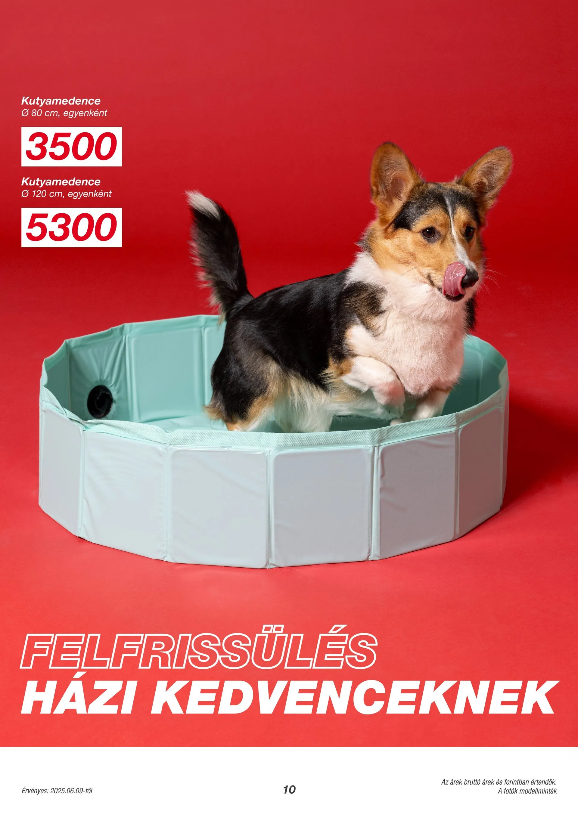 Katalógus Kik - Heti szórólapok augusztus 1.-tól augusztus 10.-ig 2025. - Oldal 10