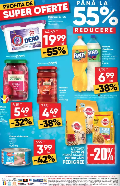 Catalog Profi Oferte de la 5 februarie până la 18 februarie 2025 - Revista Pagina 16