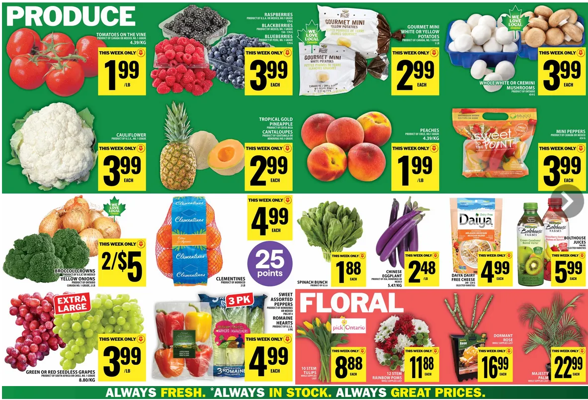 Food Basics Sales from April 9 to April 15 2026 - flyer page 10