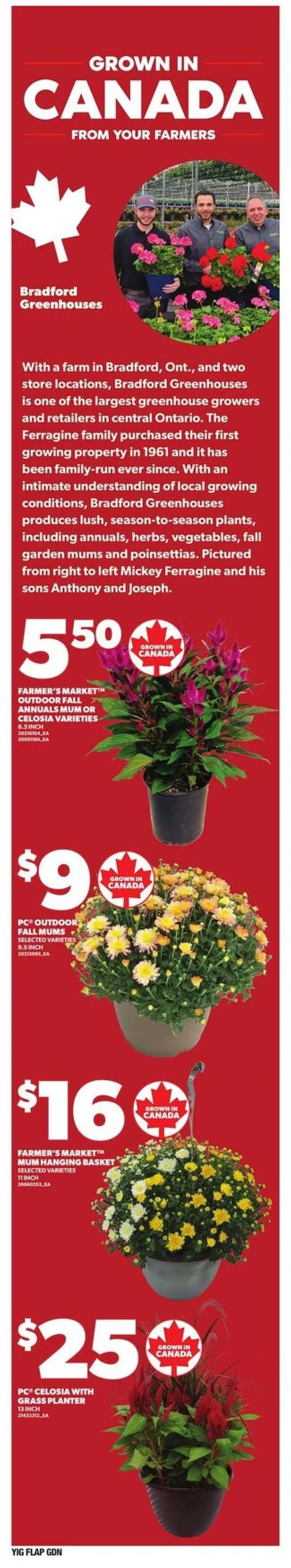 Independent flyers from August 21 to August 27 2025 - flyer page 10