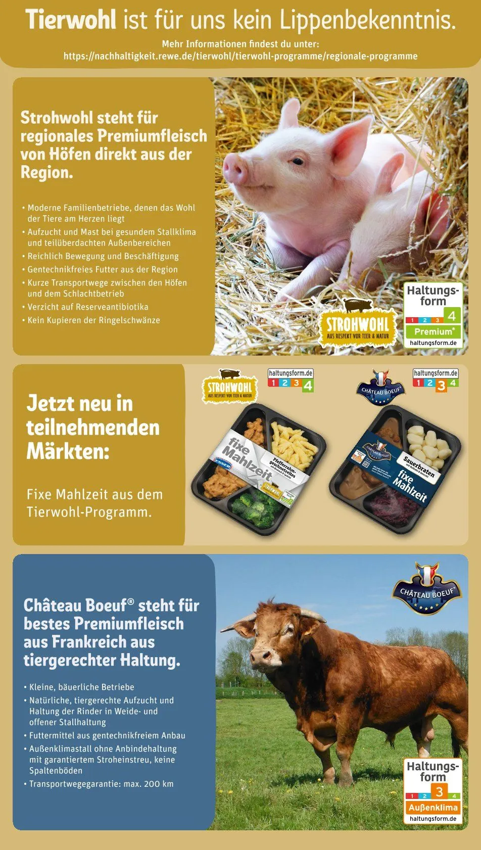 REWE Prospekt von 17. März bis 23. März 2025 - Prospekt seite 10