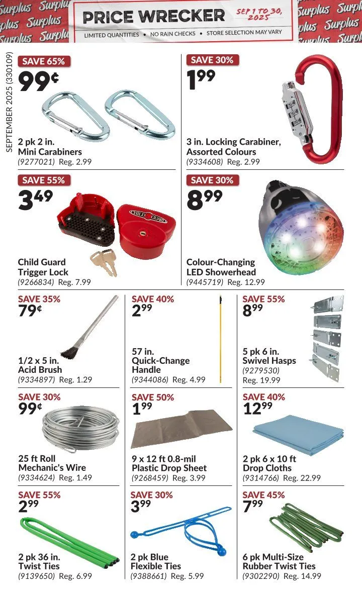 Princess Auto Sales from September 1 to September 30 2025 - flyer page 10