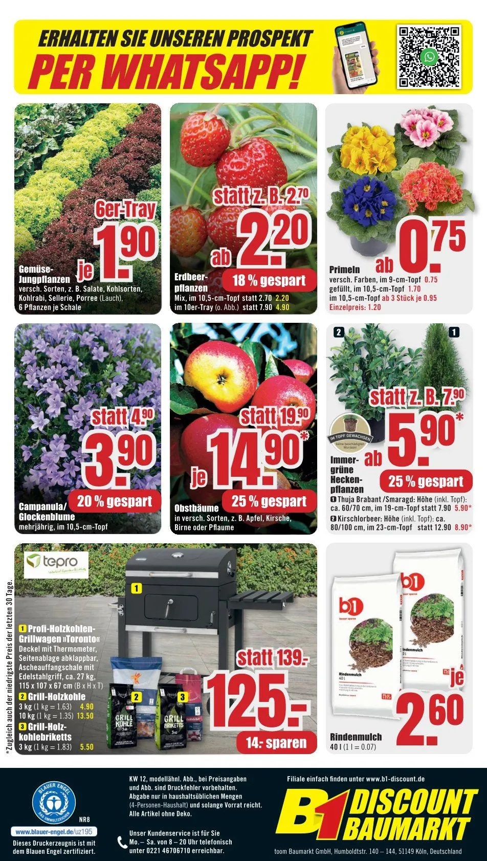 B1 Discount Baumarkt Prospekt von 17. März bis 21. März 2025 - Prospekt seite 10