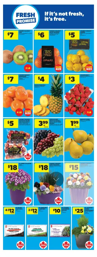  Real Canadian Superstore Sales from April 16 to April 22 2026 - flyer page 10