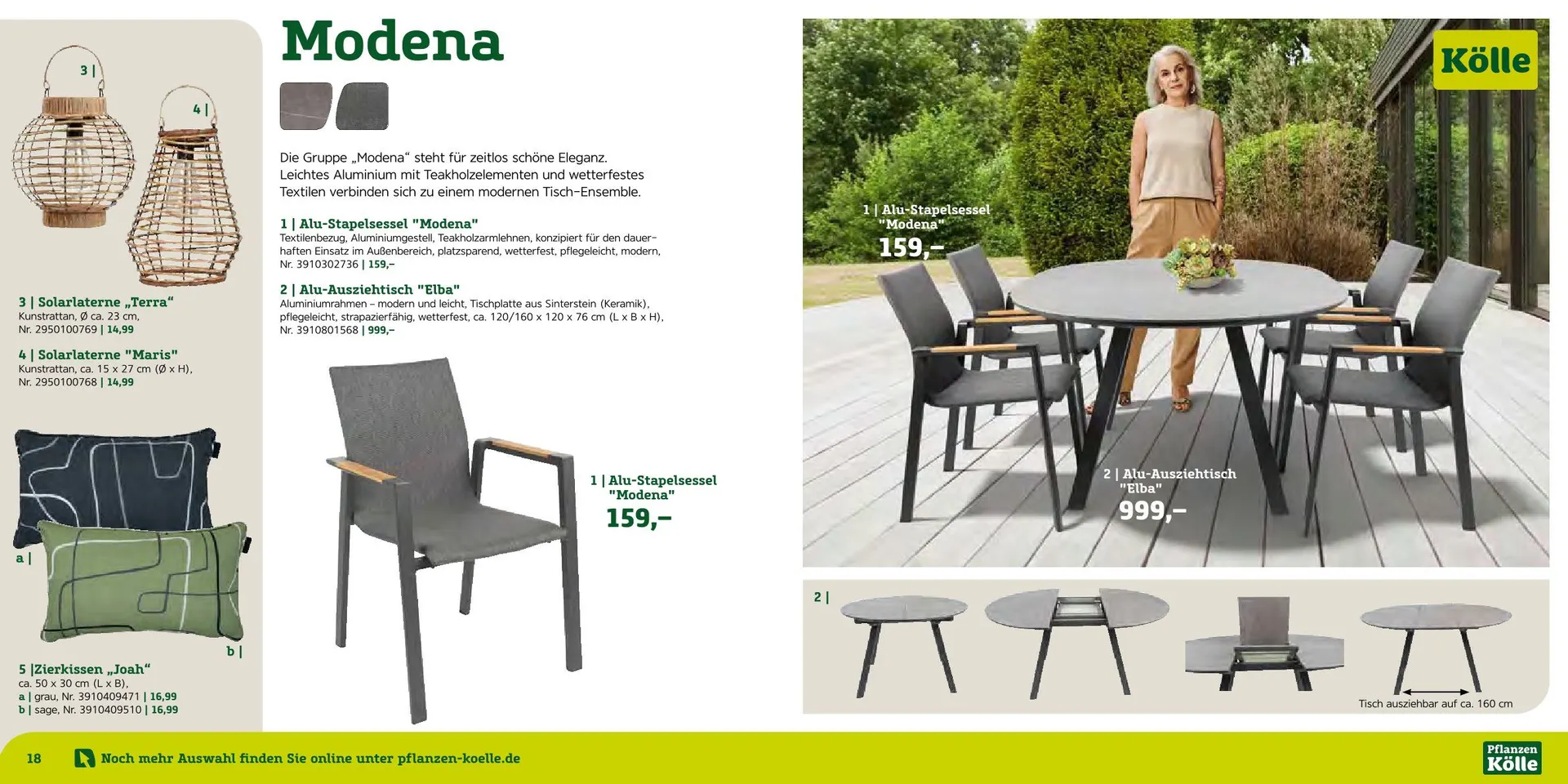 Prospekt Pflanzen-Kölle  von 12. August bis 7. September 2025 - Prospekt seite 10