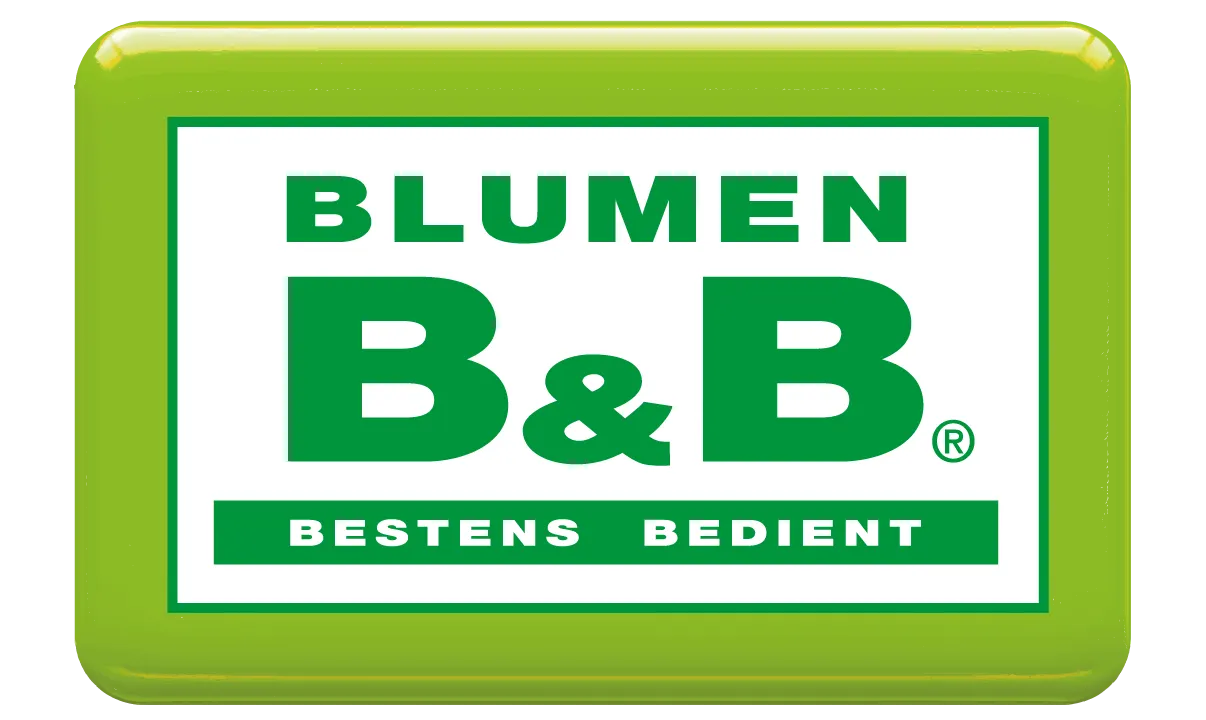 Blumen B&B logo die aktuell Flugblatt