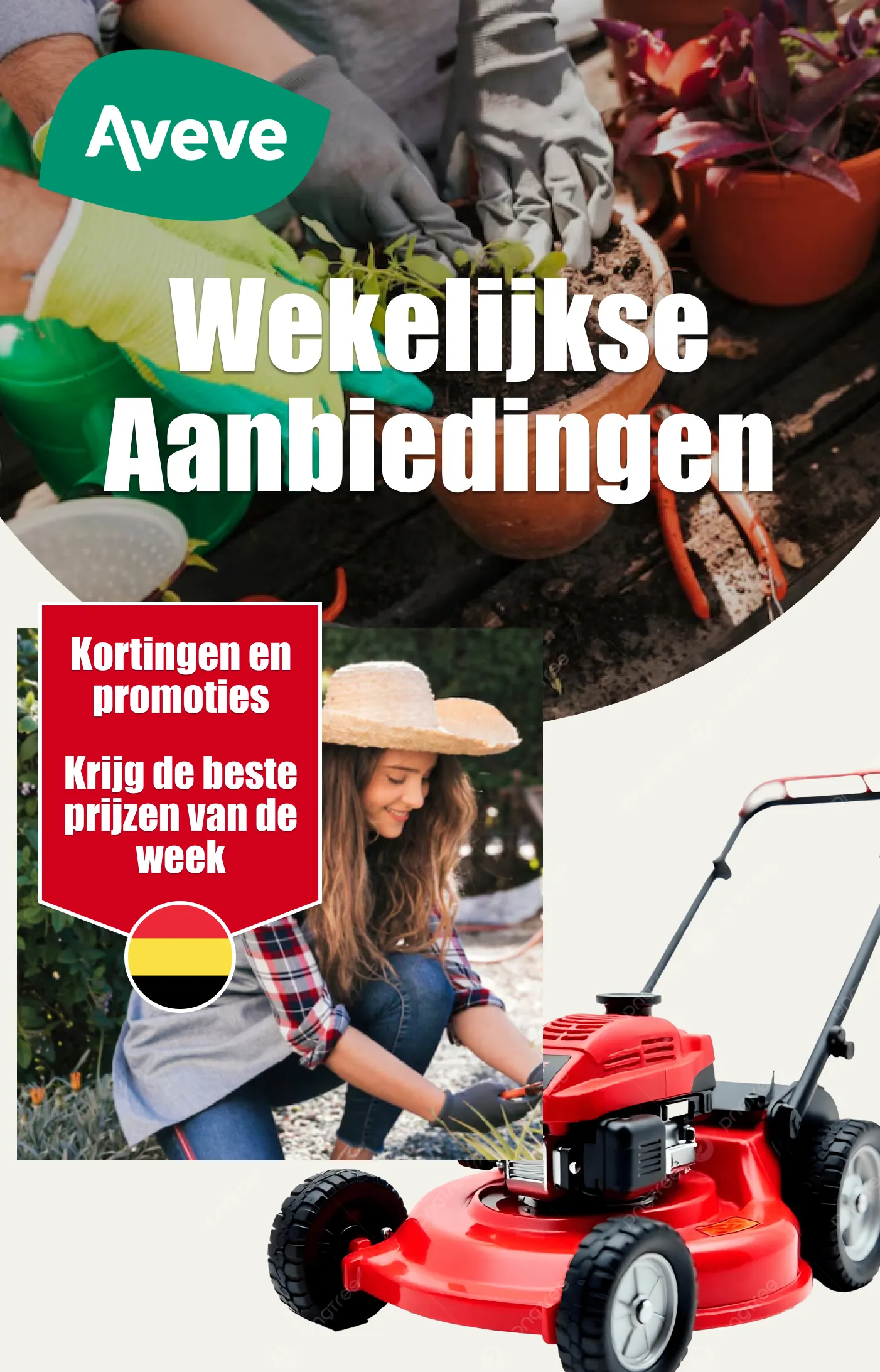 Promoties van 29 december tot 13 januari 2026 - Folder pagina 