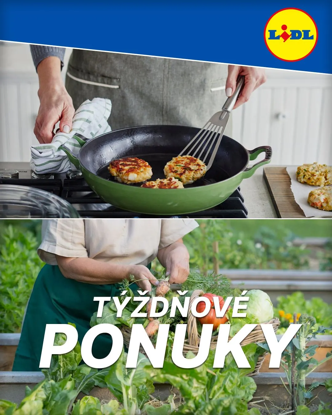 Leták: Lidl Zľavy Domáce Potreby Spotrebiče od 9. októbra do 17. októbra 2024 - Prehľad Stránky 