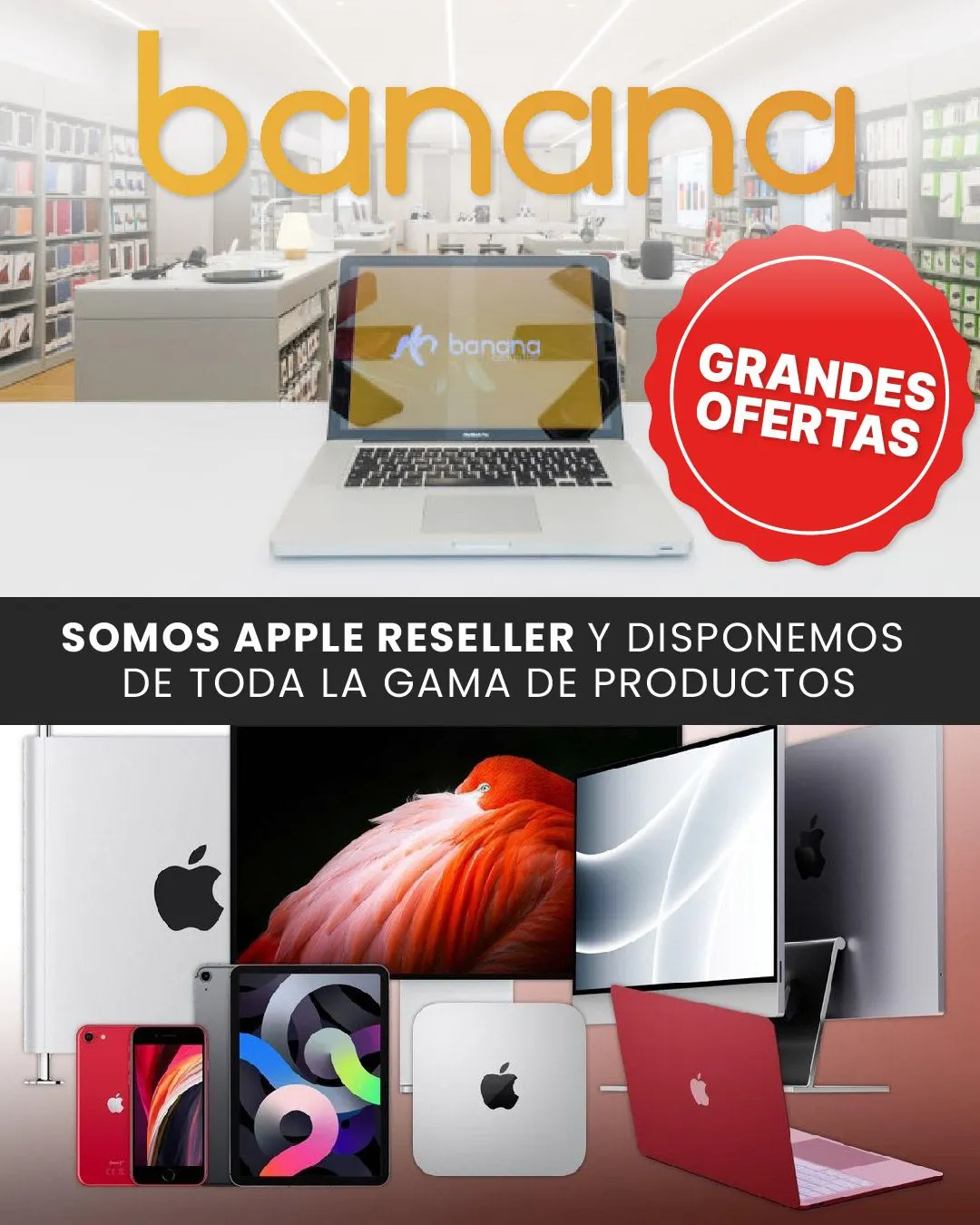 Catálogo de Banana Computer - Productos 3 de noviembre al 8 de noviembre 2023 - Página