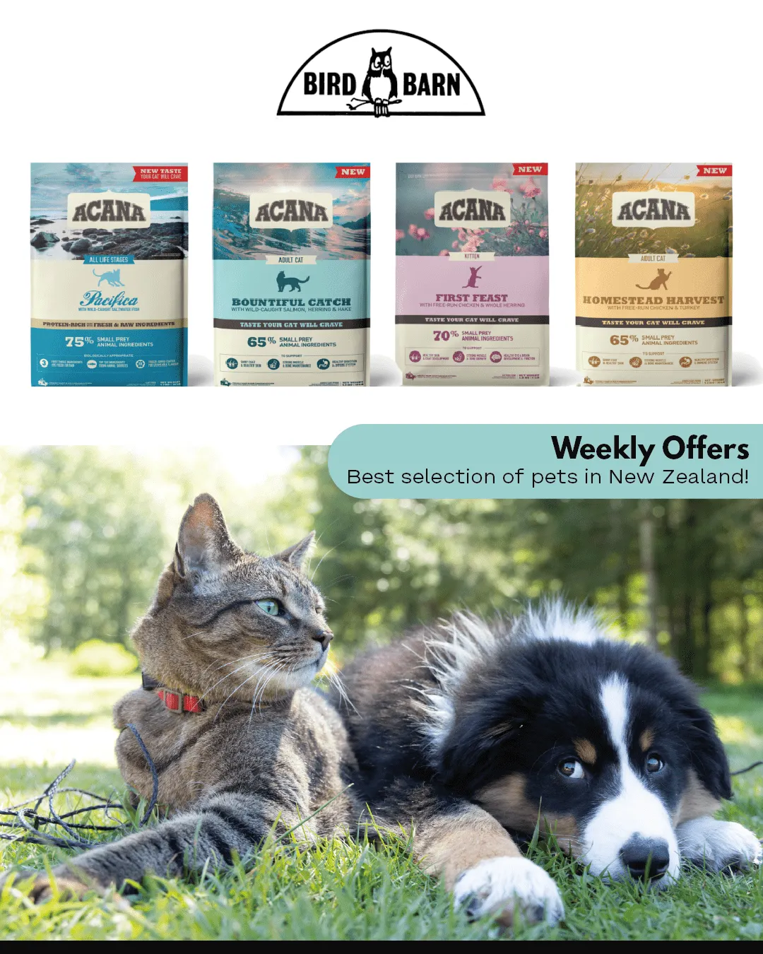 Bird Barn Bird Food Offers - 3 August 8 August 2024