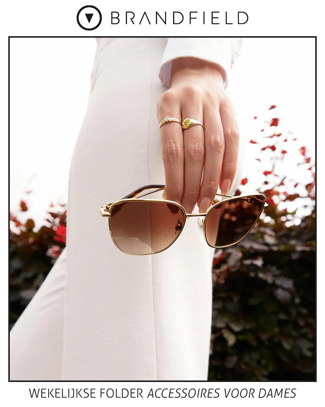 Brandfield van 17 februari tot 22 februari 2024 - folder pagina 