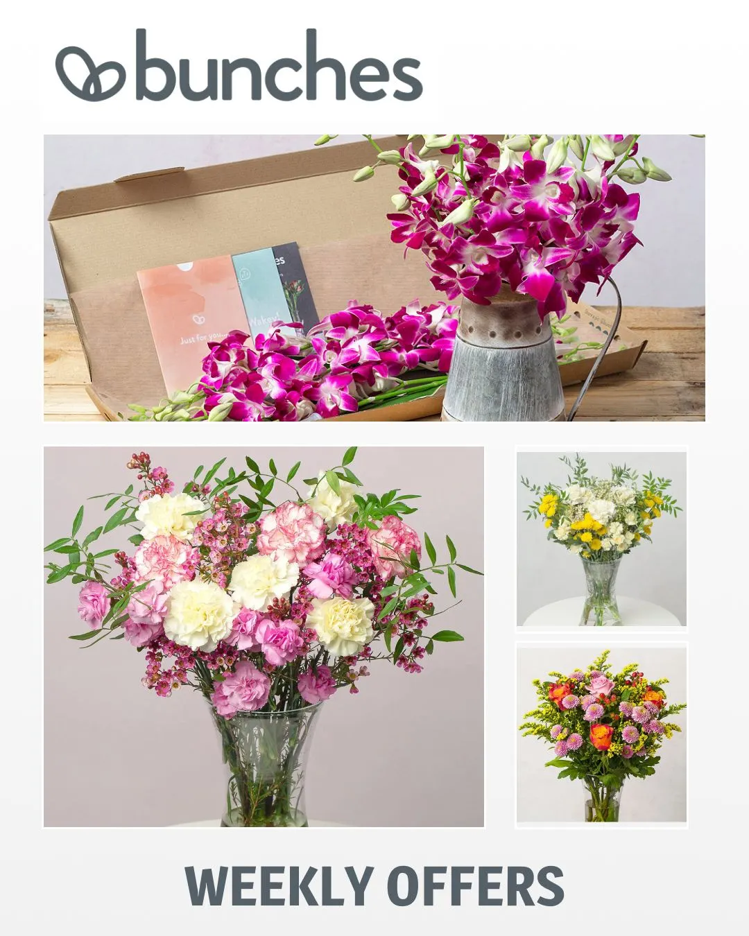 Bunches - Flowers and Plants from 30 September to 5 October 2023 - Catalogue Page 