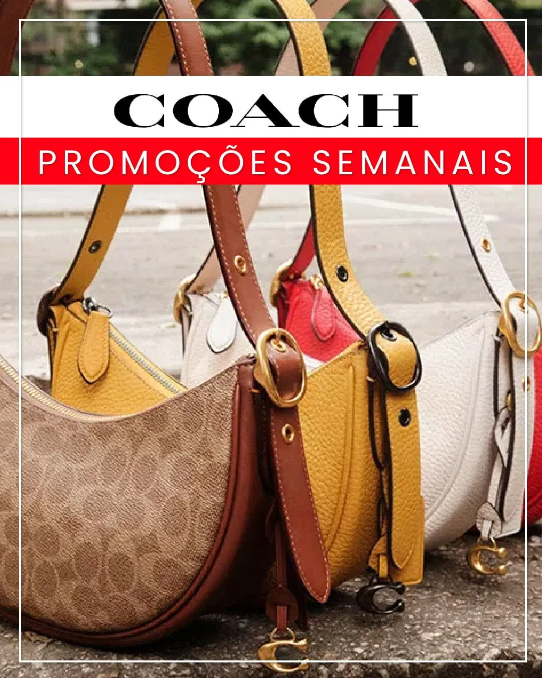 Encarte de coach 27 de novembro até 2 de dezembro 2023 - Pagina 1