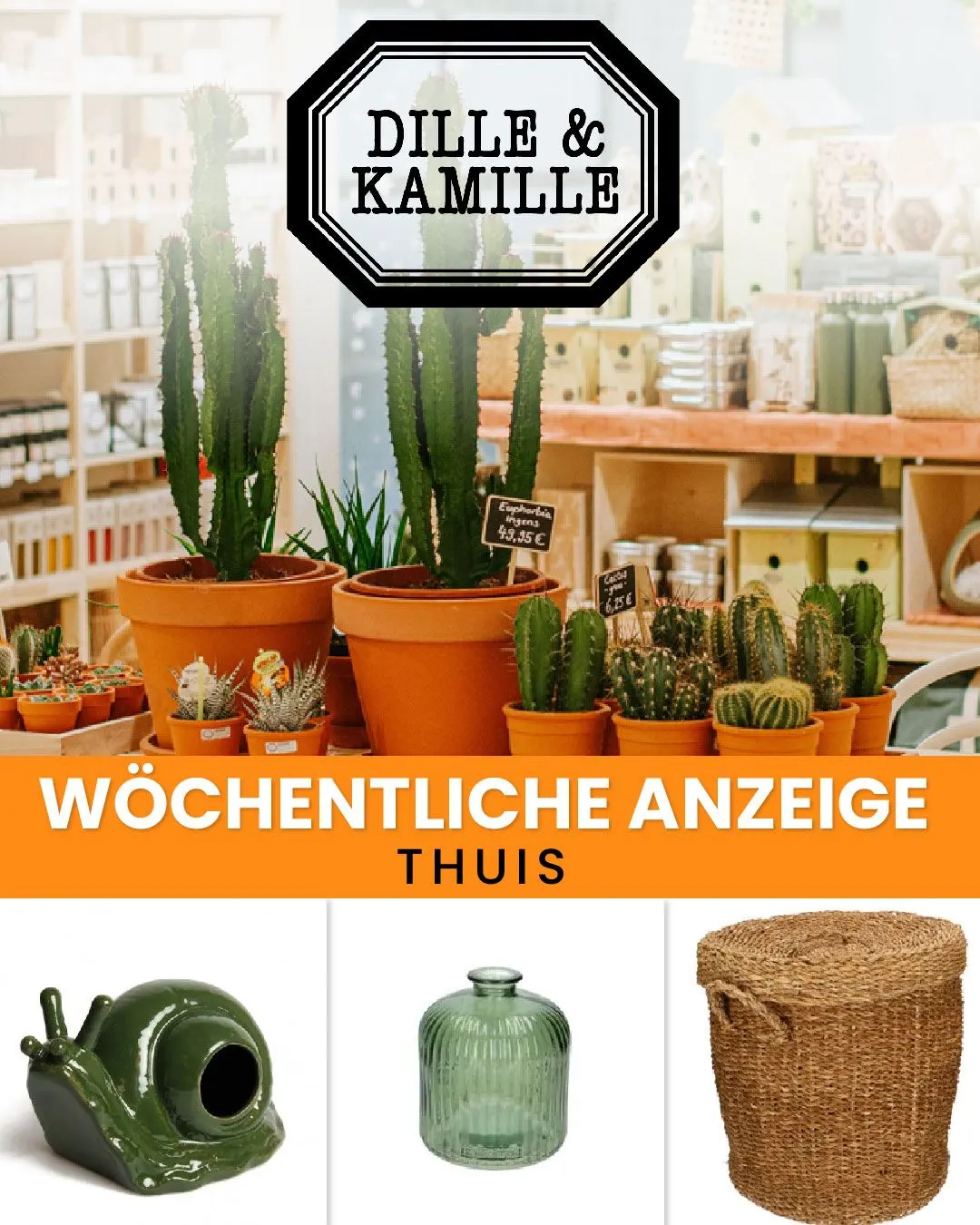 Dille & Kamille Aanbiedingen van 28 november tot 13 december 2025 - folder pagina 