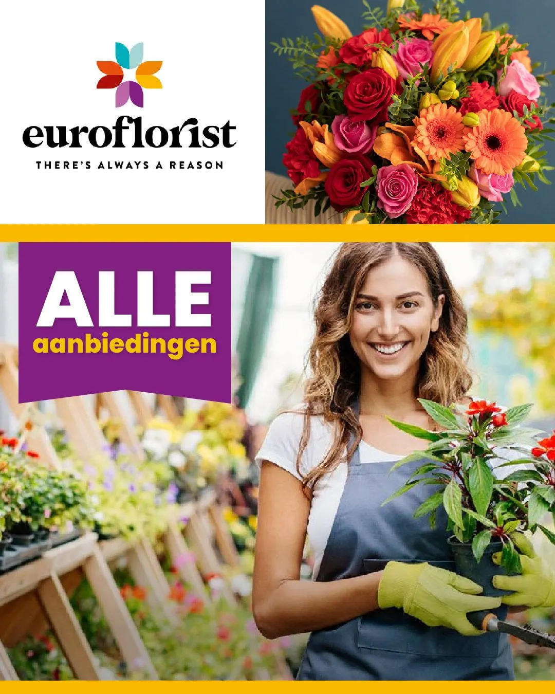 Euroflorist - Florist van 22 september tot 27 september 2023 - Folder pagina