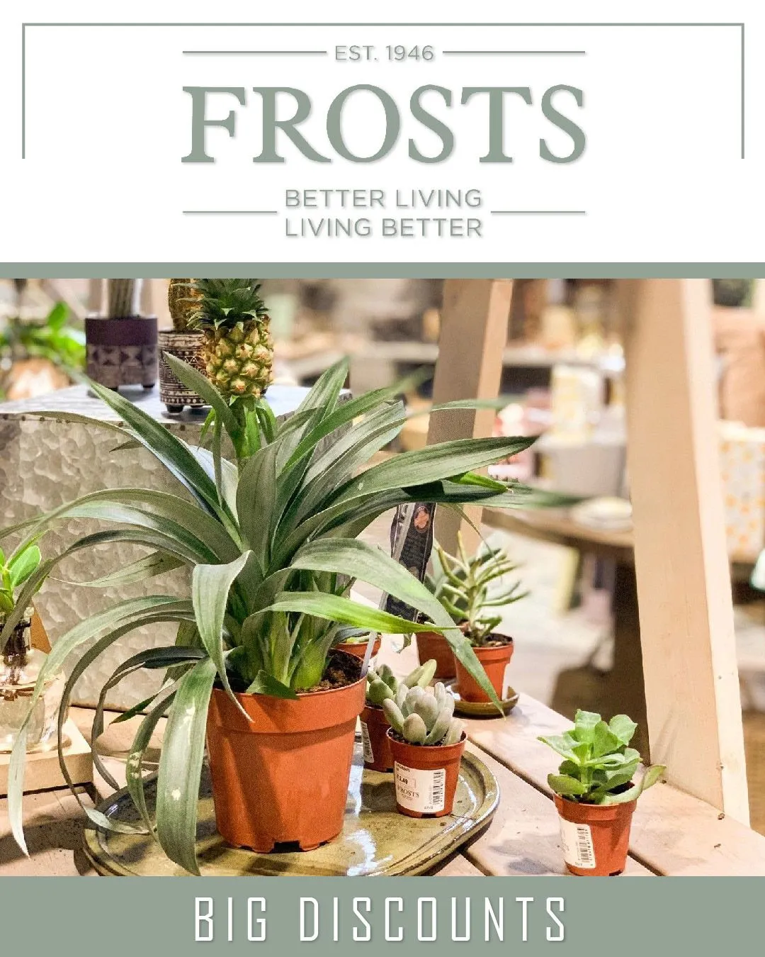 Frosts Garden Centres - Garden and flowers from 28 December to 2 January 2024 - Catalogue Page 