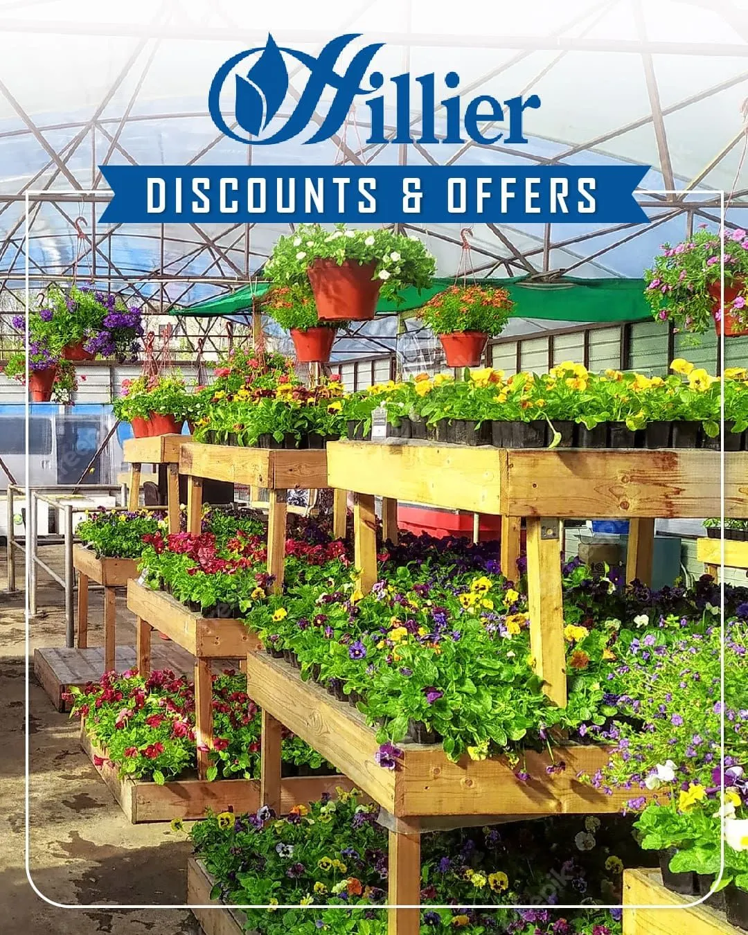 Hillier - Garden Centres from 26 September to 1 October 2023 - Catalogue Page 