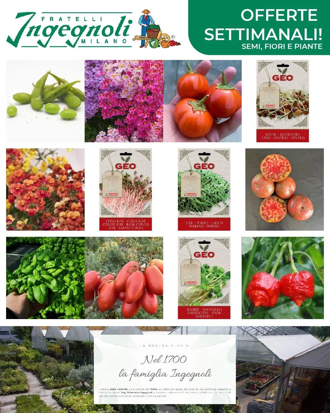 Ingegnoli da 21 aprile a 26 aprile di 2024 - Pagina del volantino 