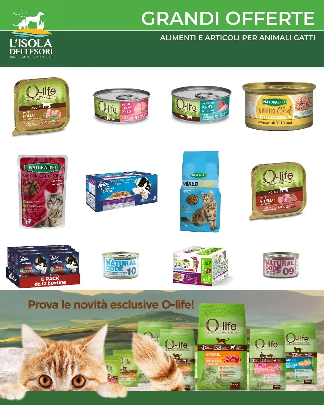 Isola Tesori Catalogo Gatto da 7 settembre a 22 settembre di 2025 - Pagina del volantino 1