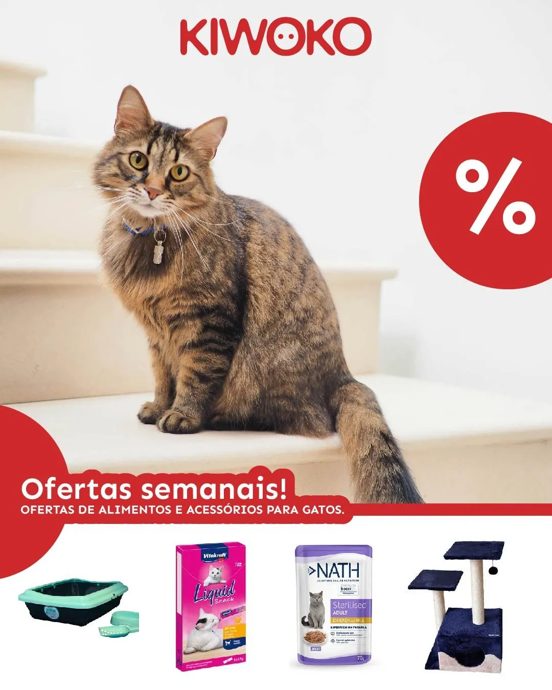 Folheto Ofertas de alimentos e acessórios para gatos. de 28 de abril até 3 de maio 2024 - Pagina 
