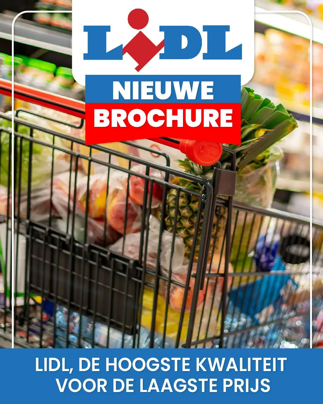 Lidl van 14 september tot 19 september 2023 - Folder pagina 1