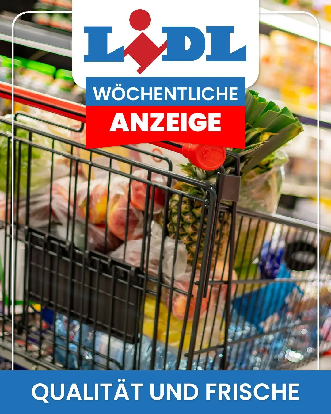 Lidl Supermärkte Angebote - 3. Januar 11. Januar 2025
