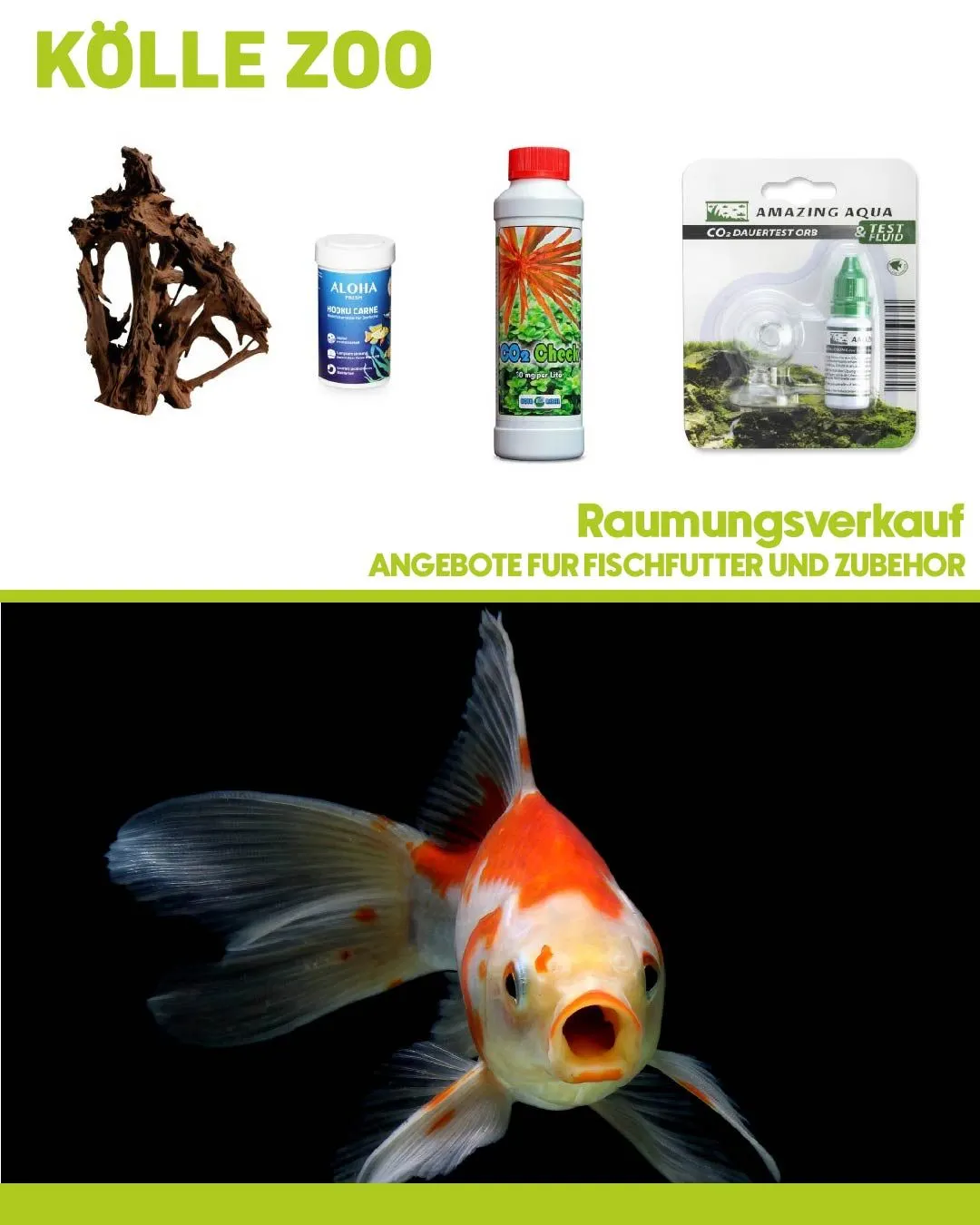 Angebote für fischfutter und zubehör von 29. April bis 4. Mai 2024 - Flugblätt seite  