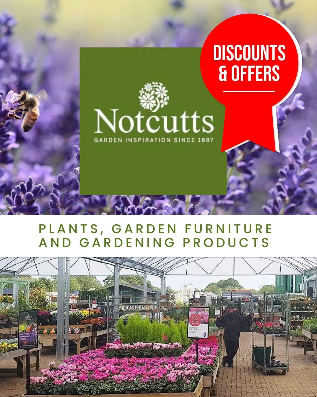 Not Cutts - Gardens from 16 November to 21 November 2023 - Catalogue Page