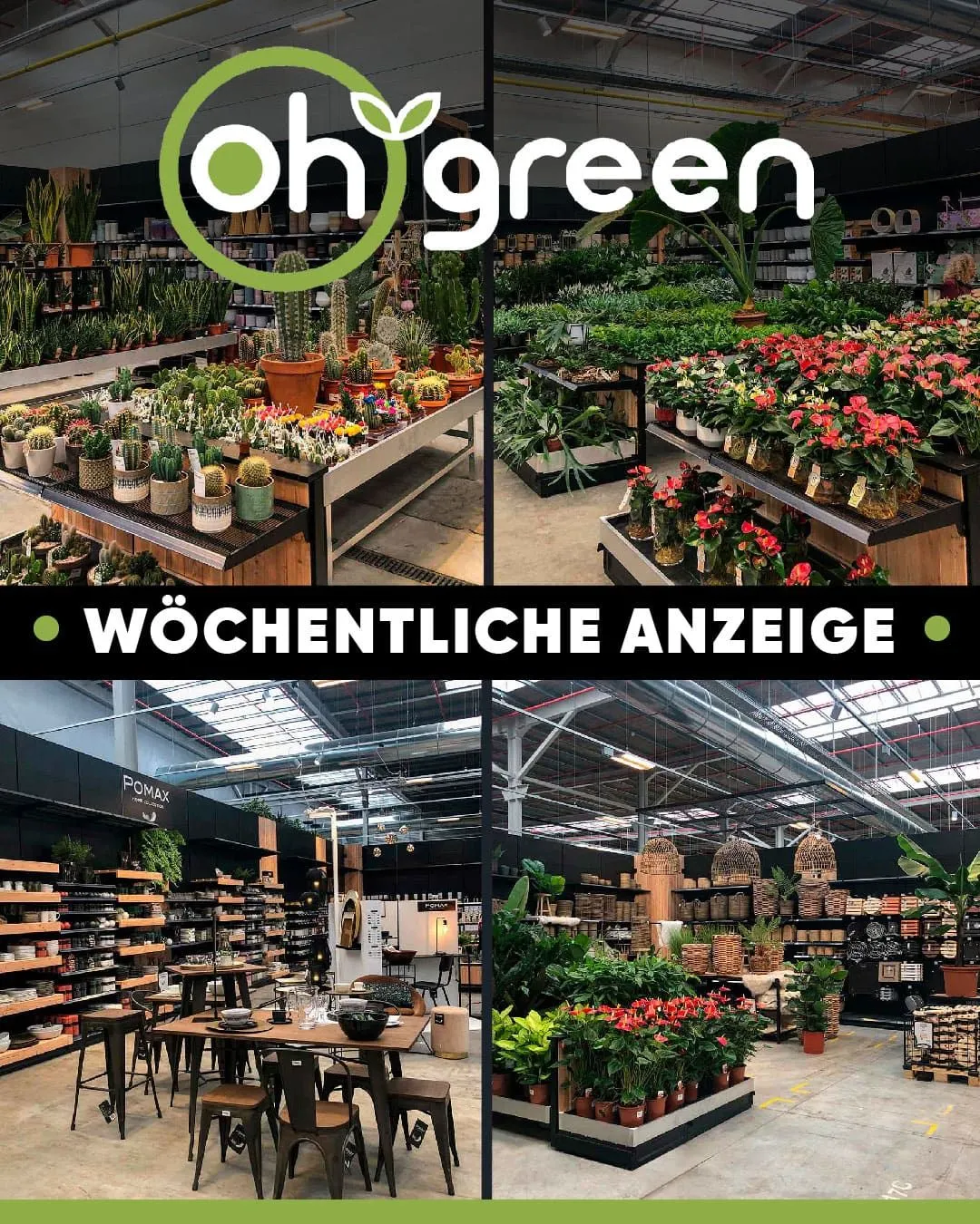 Oh'Green Hobby Doe-het-zelf Aanbiedingen - 25 oktober 9 november 2025