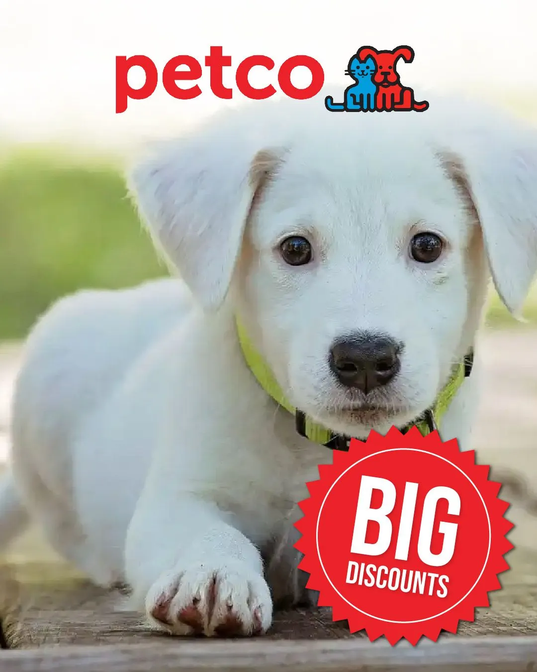 Weekly ad Petco Dog Deals from December 10 to December 18 2024 - Page 