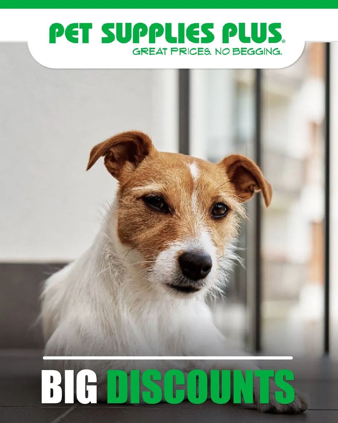 Weekly ad Pet Supplies Plus Dog Food Deals from July 12 to July 17 2024 - Page 1