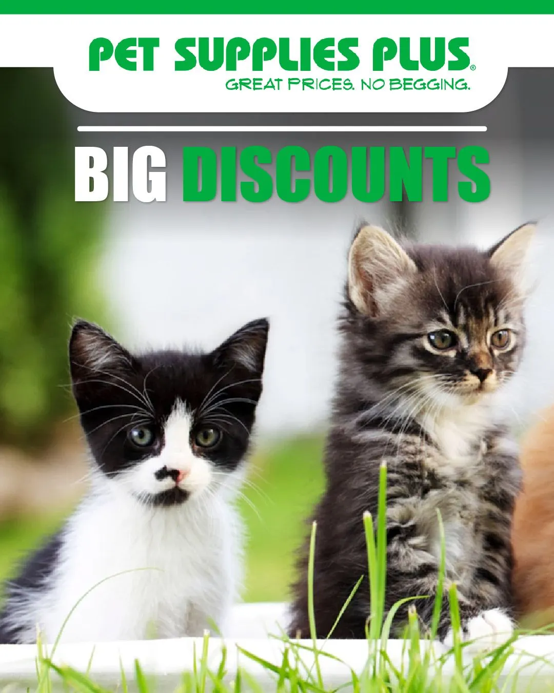 Weekly ad Pet Supplies Plus Cat Deals from November 20 to November 28 2024 - Page 