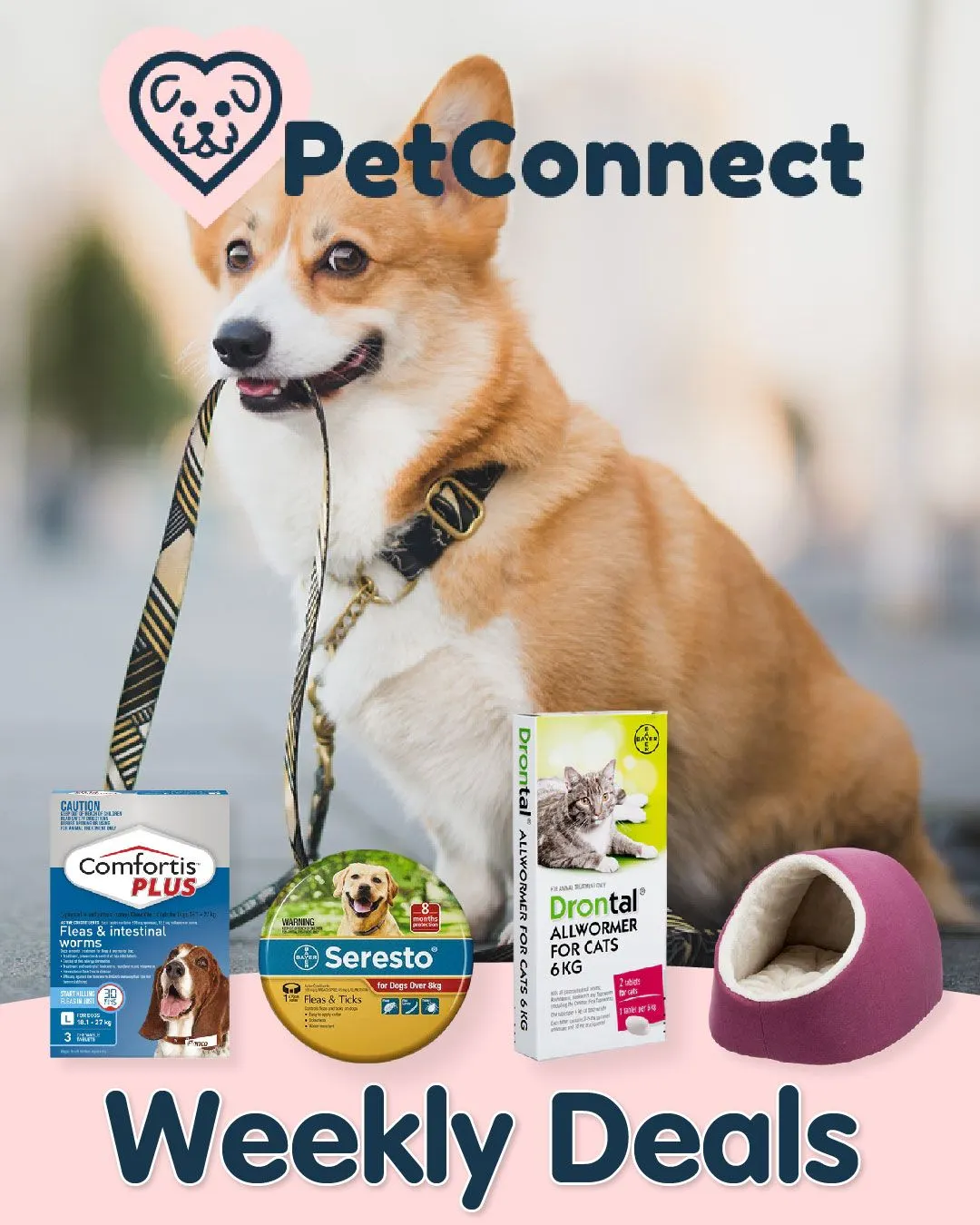 Pet Connect - Pet supplies from 24 August to 29 August 2023 - Catalogue Page