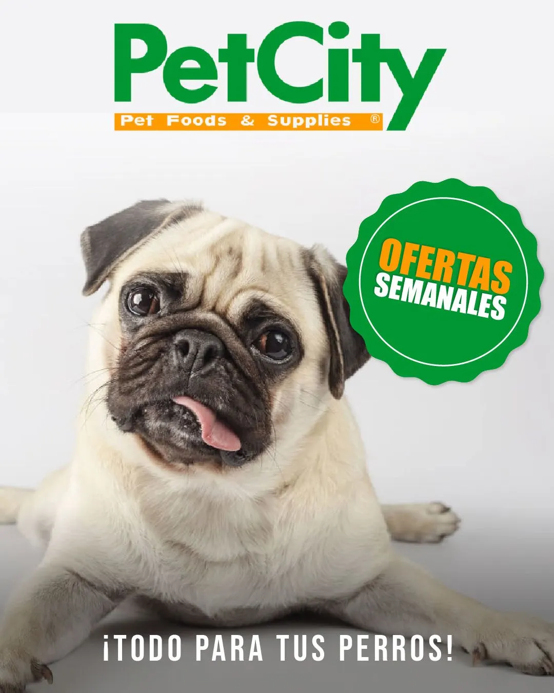 Pet City ofertas alimentos perros - 4 de agosto 9 de agosto 2024