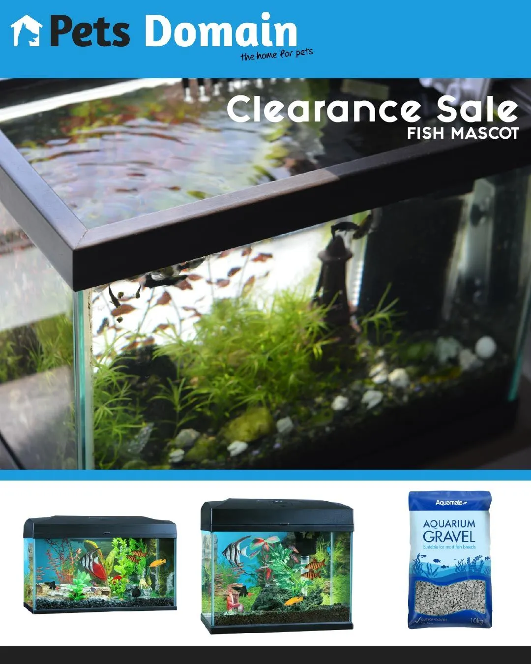 Pets Domain offers - fish - Catalogue valid from 16 July to 21 July 2024 - page