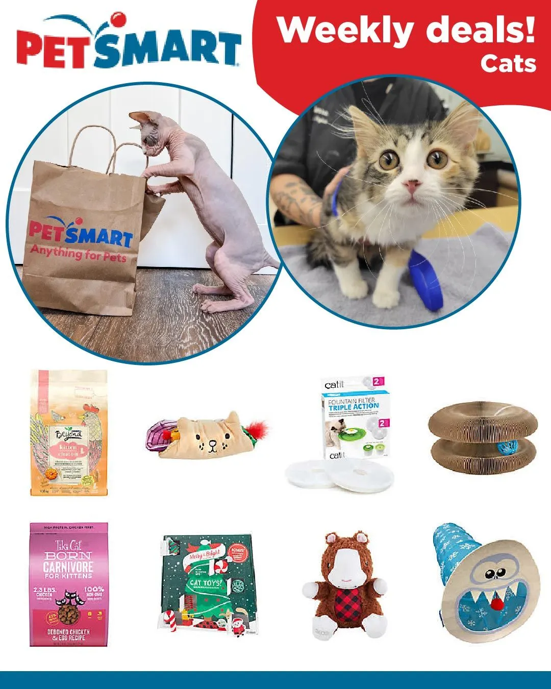 Petsmart Cat Deals from November 29 to December 7 2024 - flyer page 1