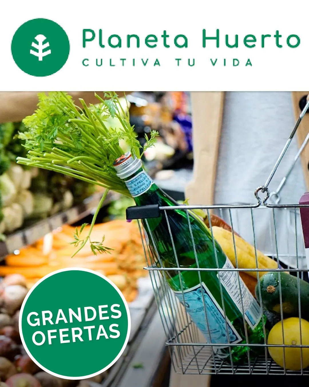 Catálogo de Planeta Huerto 15 de marzo al 20 de marzo 2024 - Página 