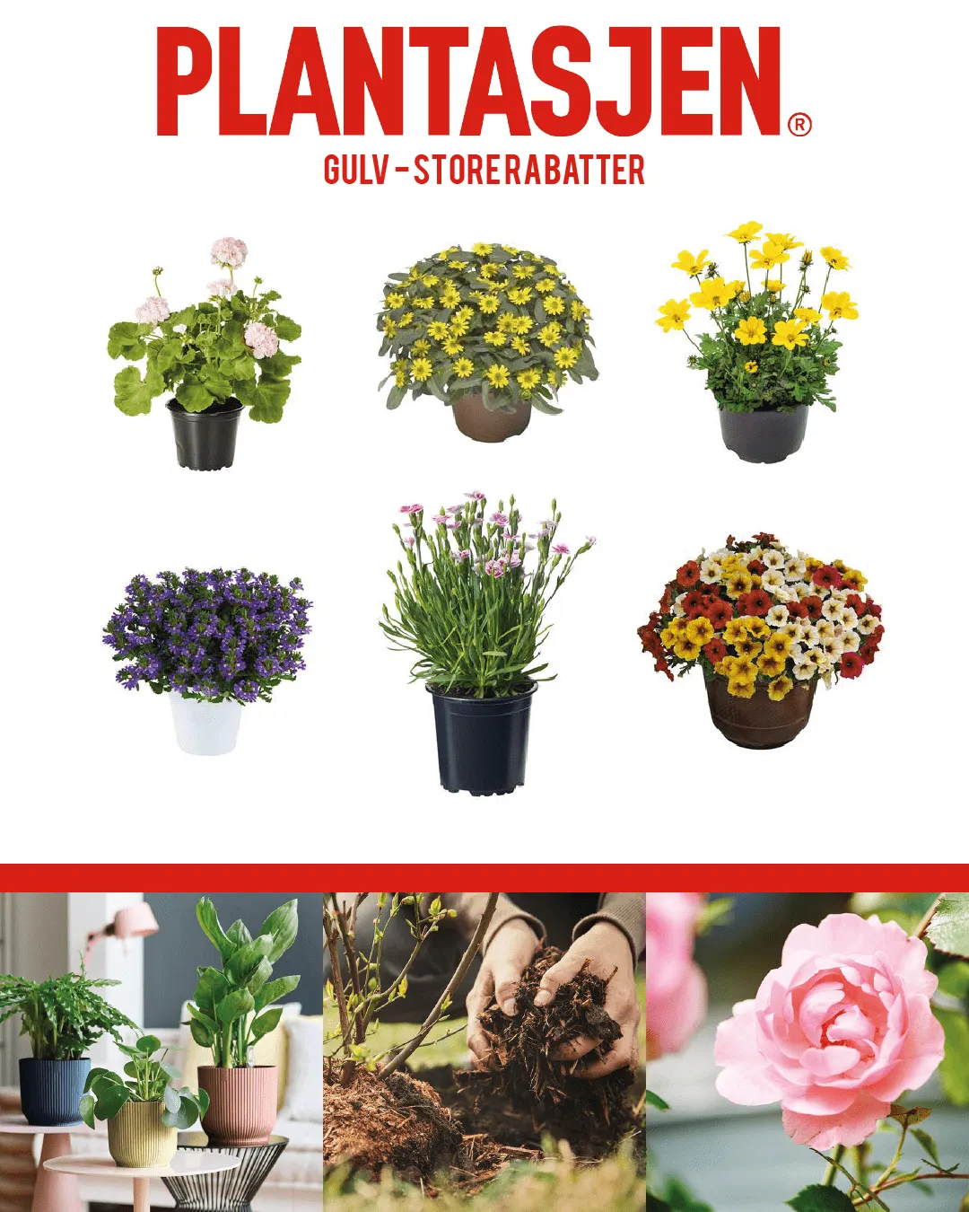 Plantasjen - Plantas fra 19. september til 24. september 2023 - kundeavisside 1