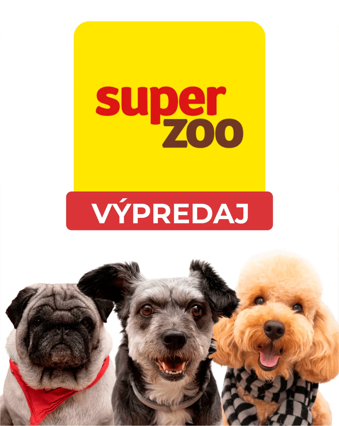 Leták: Super Zoo - Psy od 2. marca do 7. marca 2024 - Prehľad Stránky