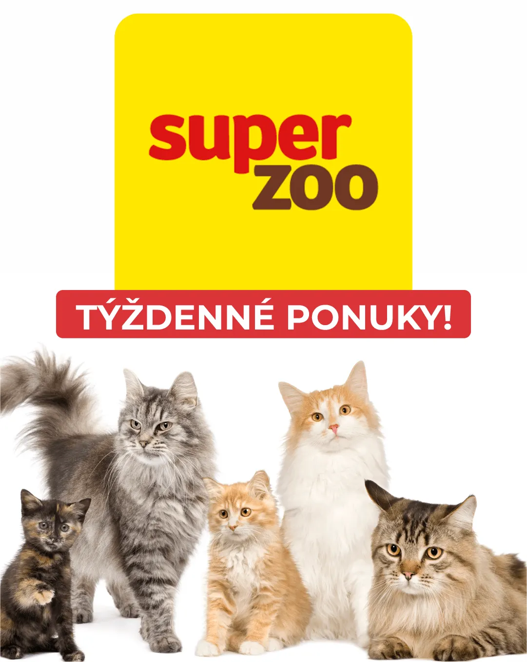 Leták: Super Zoo - Macky od 2. marca do 7. marca 2024 - Prehľad Stránky