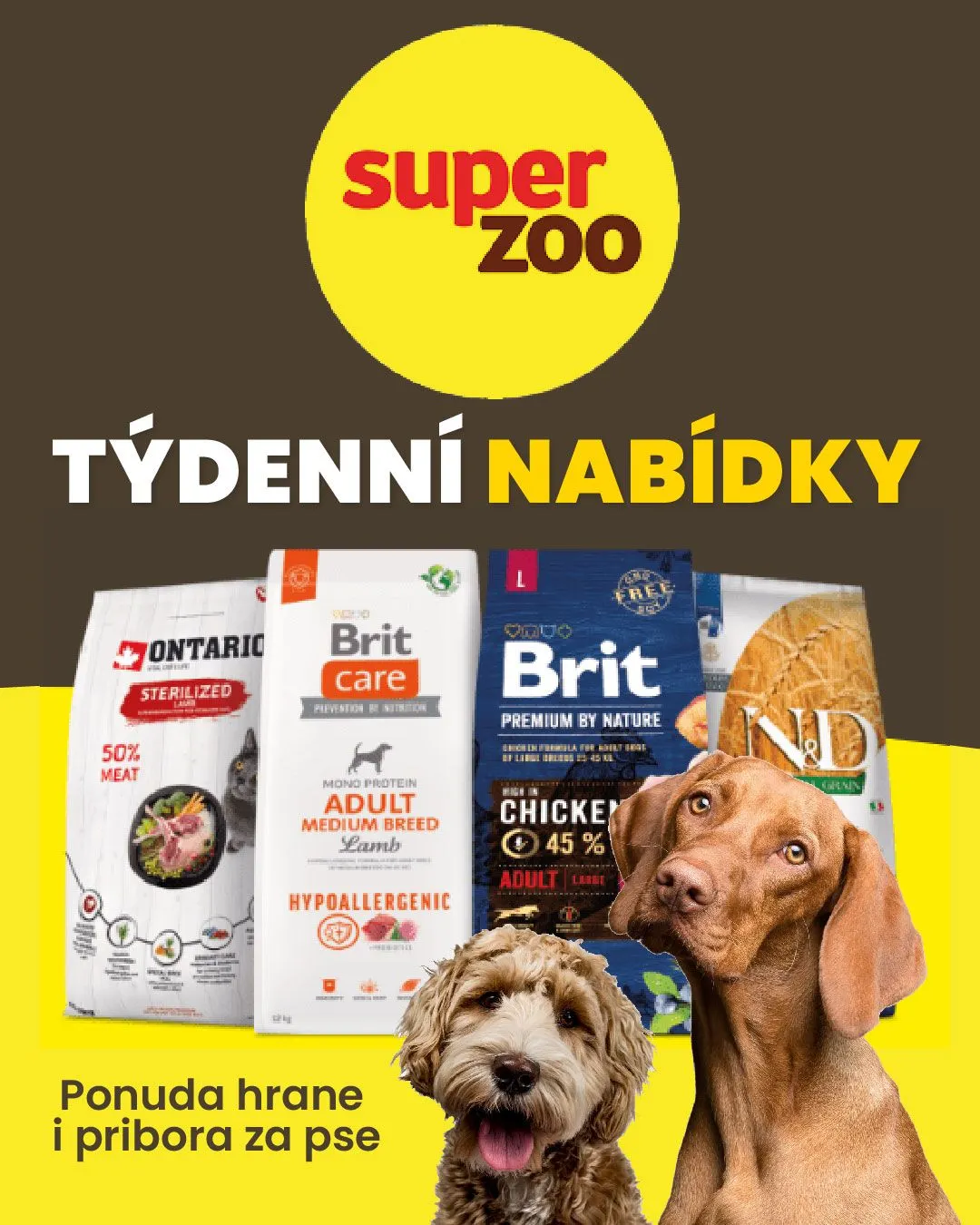 Ponuda hrane i pribora za pse. - 11. června 16. června 2024