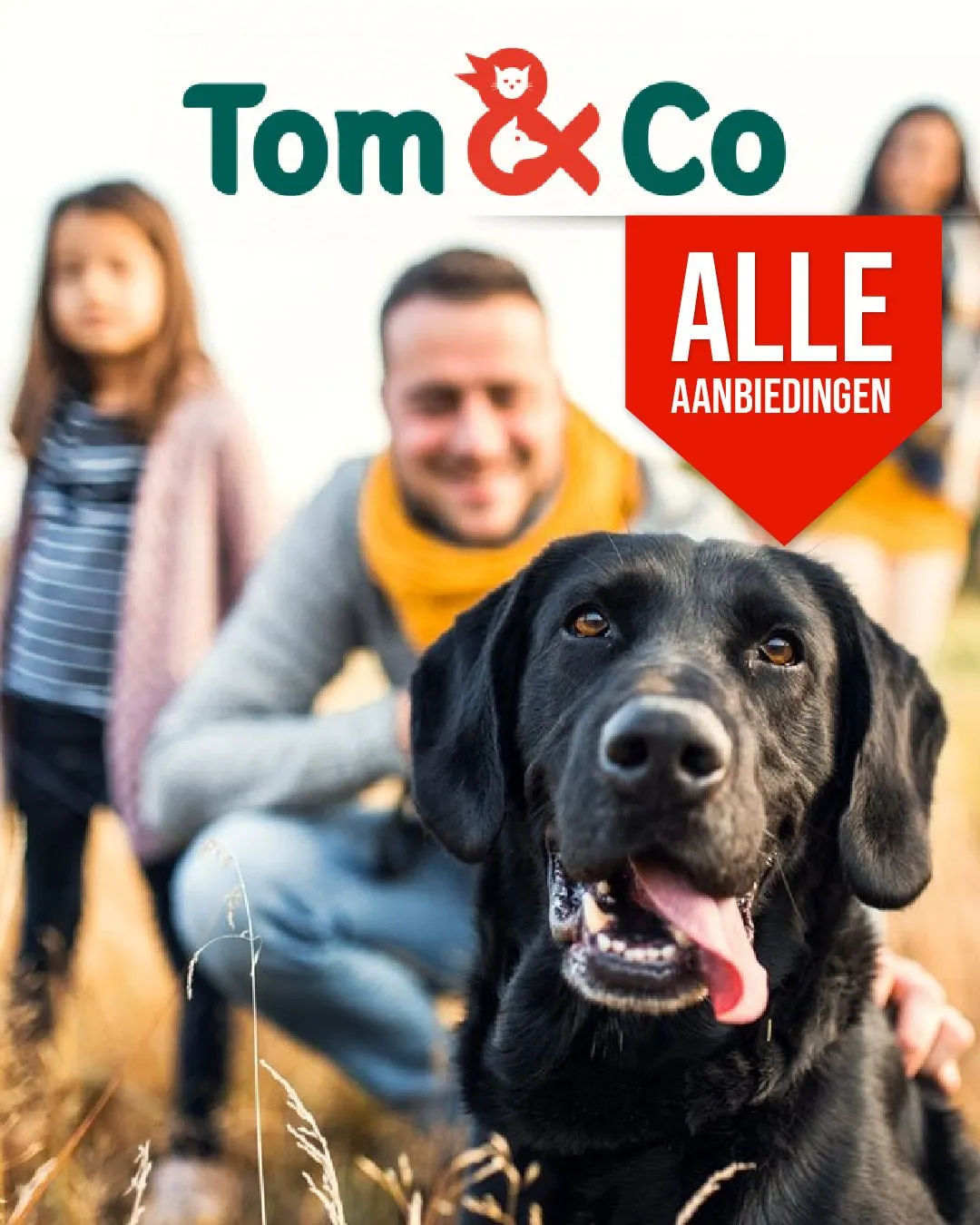 Tom&Co - Alles voor dierenseparator van 15 augustus tot 20 augustus 2023 - folder pagina