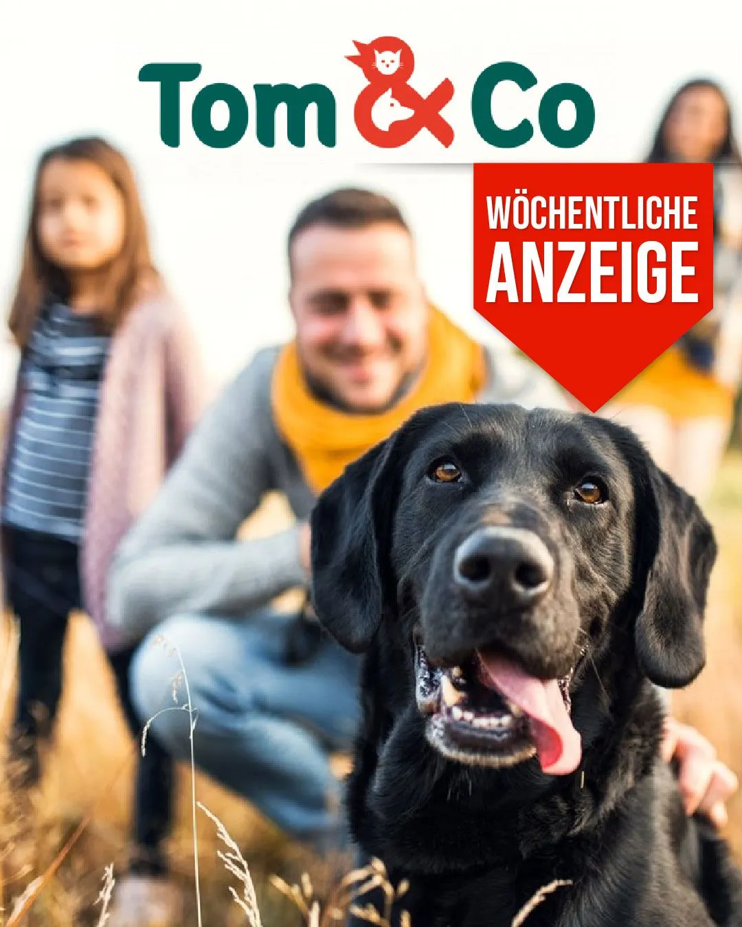 Tom&Co Dierenvoeding Aanbiedingen van 4 december tot 19 december 2025 - folder pagina 