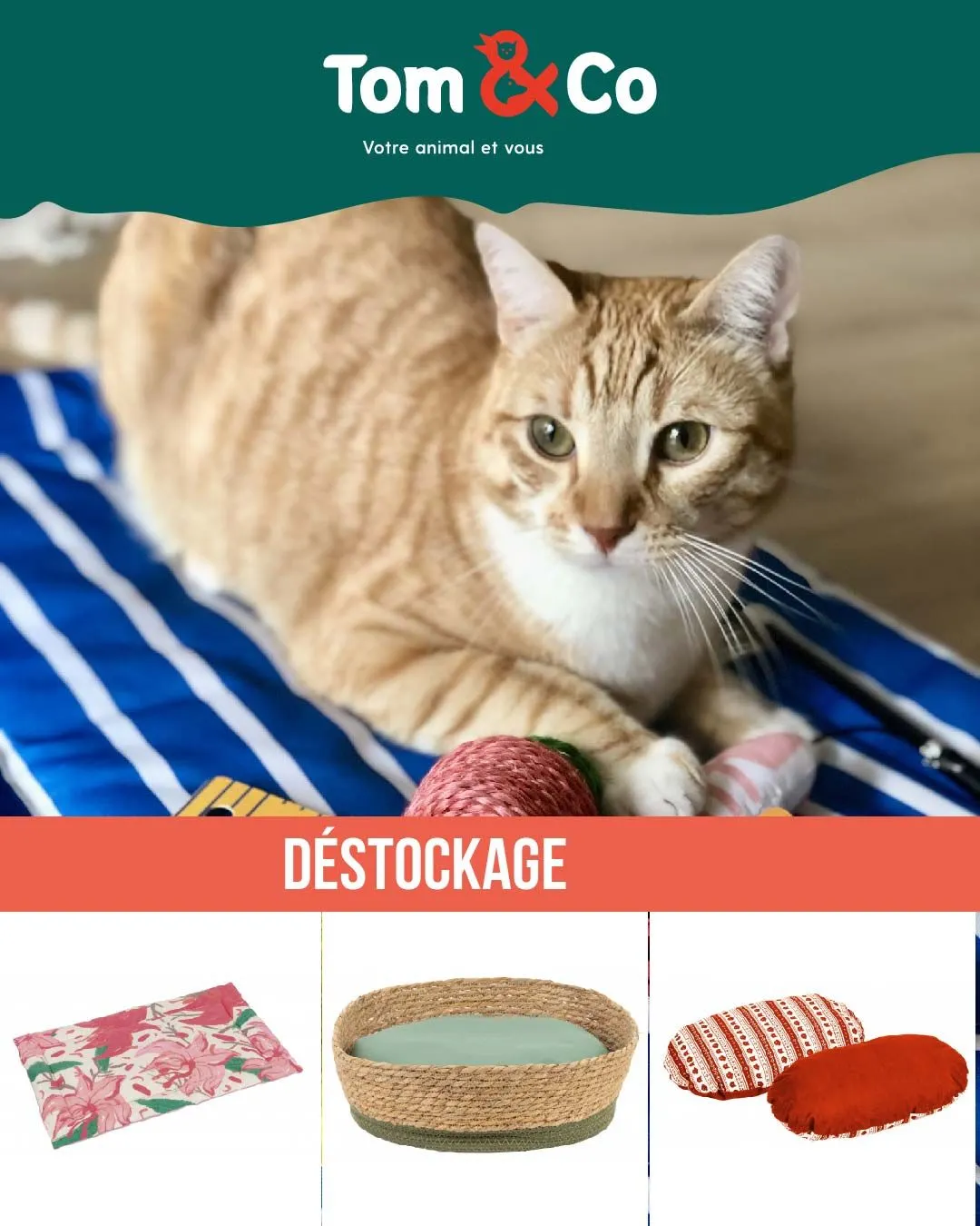 Tom&Co Offres du 25 octobre au 2 novembre 2024 - Catalogue page 